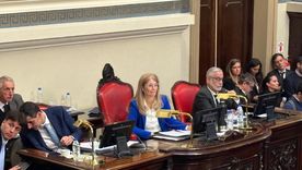 La interna peronista opaco la primera sesión del año del Senado bonaerense