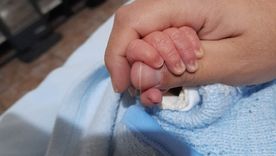 Hablar de fertilidad no pone en riesgo el tratamiento del cáncer; no hablarlo puede condicionar la vida después del cáncer.