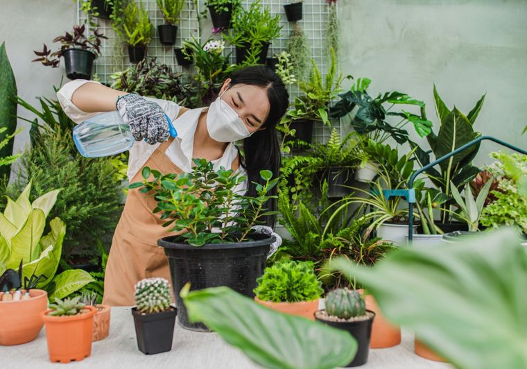 Cómo hacer un jardín vertical en simples pasos Te dejamos algunas recomendaciones para hacer un jardín vertical. Foto: Freepik