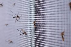 Los casos aumentan y el Ministerio de Salud continúa estudiando para analizar posibles salidas de la epidemia que mantiene en vilo al país Foto: GETTY IMAGES