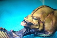 Foto: siriusdisclosure.com