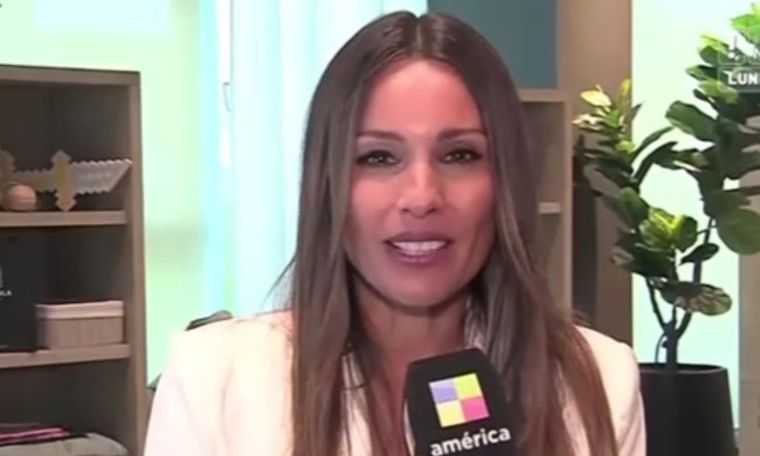 Pampita contó cómo reacciona con sus picantes memes Muchas de sus frases se convirtieron en stickers y explicó cómo se los toma Foto: Captura de TV
