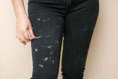 Estos trucos caseros sirven tanto para pelusas como para pelos de las mascotas Foto: SHUTTERSTOCK Estos trucos caseros sirven tanto para pelusas como para pelos de las mascotas Foto: SHUTTERSTOCK