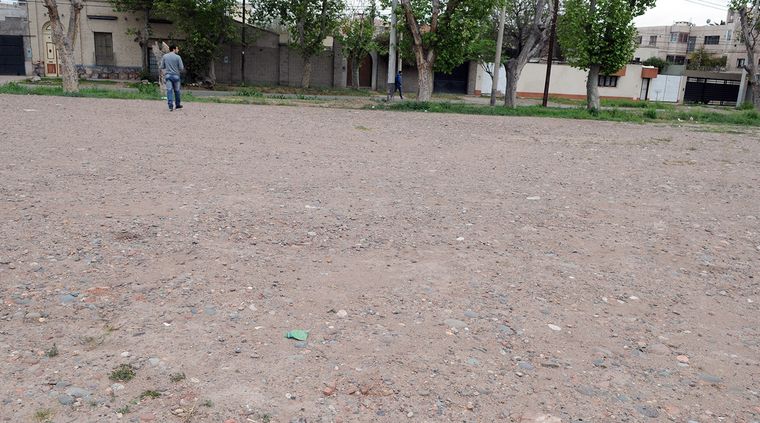 Foto: Alf Ponce / MDZ