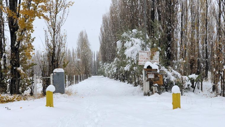 Las nevadas podrían impactar en el llano el día jueves Foto: Gentileza