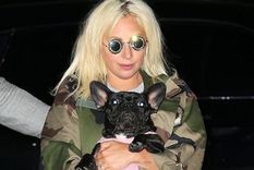Lady Gaga aparece a menudo en público con sus perros. Foto: GETTY IMAGES