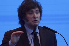 La UCR, contra Javier Milei por el conflicto en España Foto: Juan Mateo Aberastain/MDZ