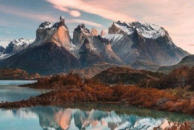 MDZol | Foto: Instagram @braybraywoowoo