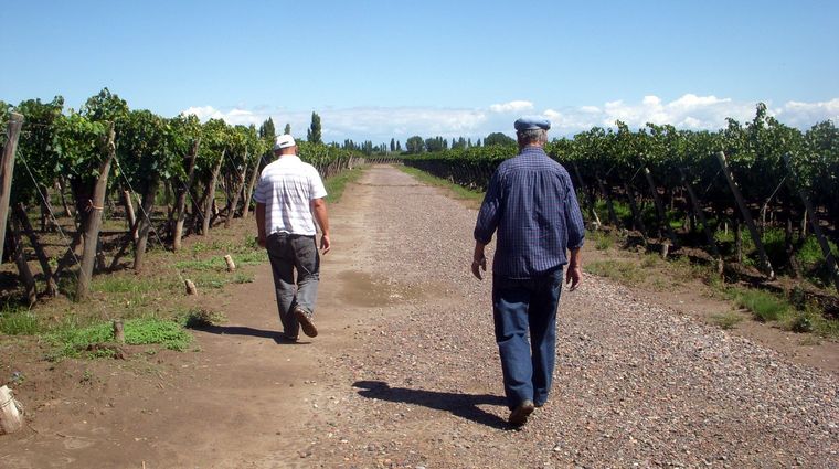 Foto: Ulises Naranjo.