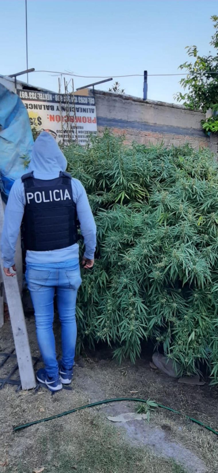 Foto: Ministerio de Seguridad