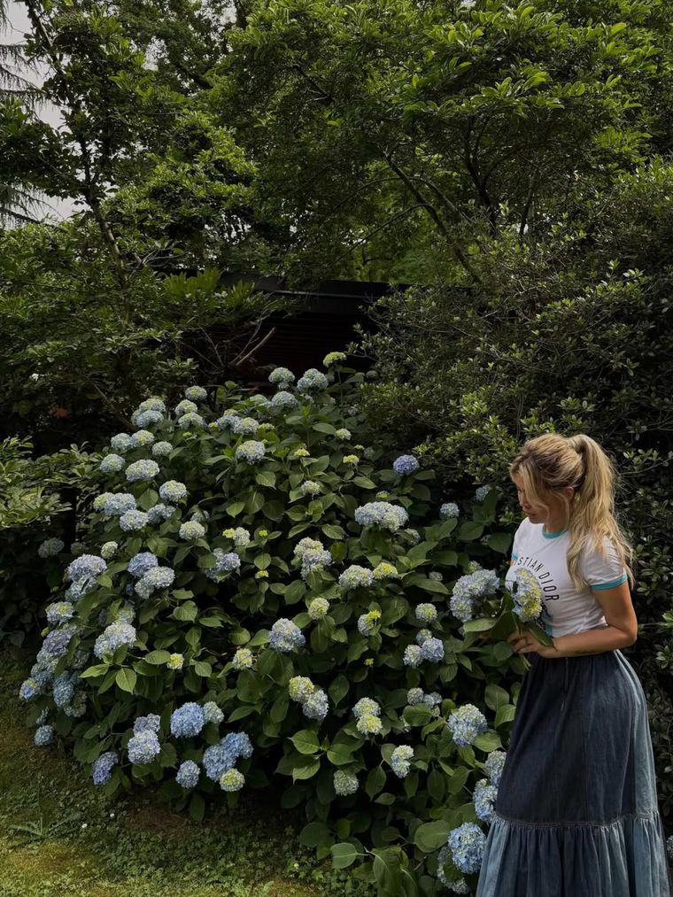 Fachada de la villa milanesa de Wanda Nara, una construcción clásica envuelta en vegetación y aires de campo. Fachada de la villa milanesa de Wanda Nara, una construcción clásica envuelta en vegetación y aires de campo.