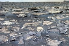 El rover Curiosity de la NASA continúa buscando señales de que las condiciones del cráter Gale de Marte podrían sustentar vida microbiana. Foto: Dpa.