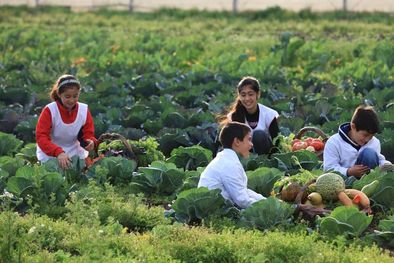 MDZol | En Fundación Huerta Niño presentamos el último el Programa Educativo Huertas Escolares. Foto: Fundación Huerta Niño