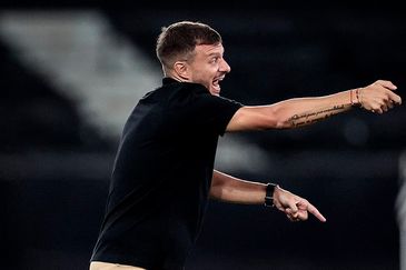 Botafogo despidió a Martín Anselmi por malos resultados.