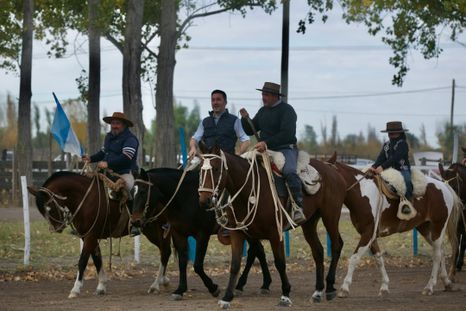 La ganadería argentina es una de las principales industrias dentro del agro. La ganadería argentina es una de las principales industrias dentro del agro.