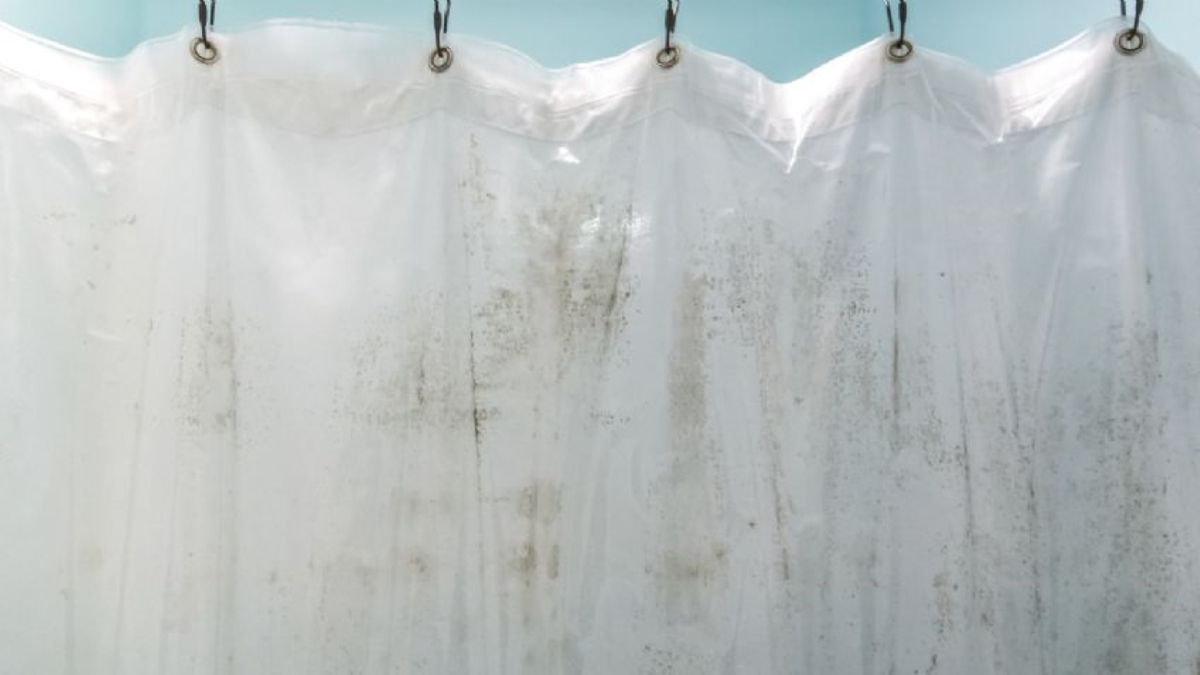 Sin refregar: el truco definitivo para quitar el moho de las cortinas del baño