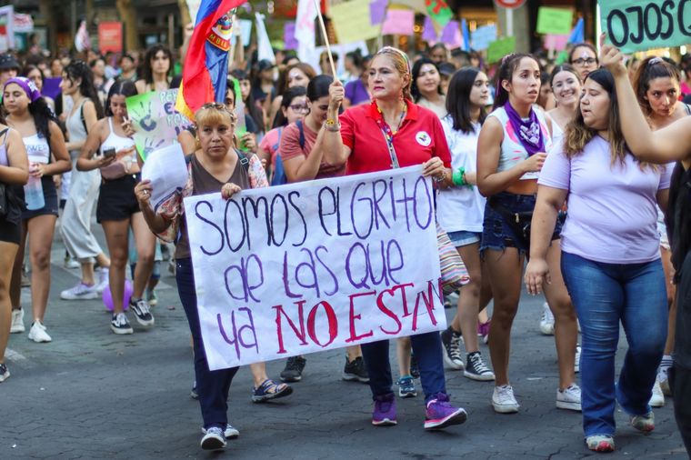 Crece la preocupación por una problemática que se repite en distintas partes de nuestro país Foto: Santiago Tagua/MDZ
