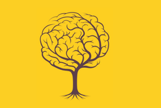 Test de personalidad Test de personalidad