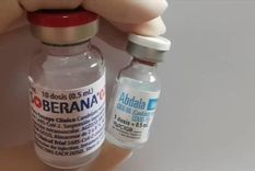 Las vacunas cubanas fueron autorizadas en otro país de Latinoamérica por primera vez