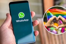 Cómo cambiar el logo de WhatsApp (Shutterstock).