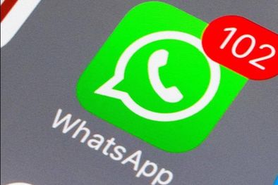 MDZol | WhatsApp, aplicación, mensaje