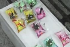 Foto: Captura de video