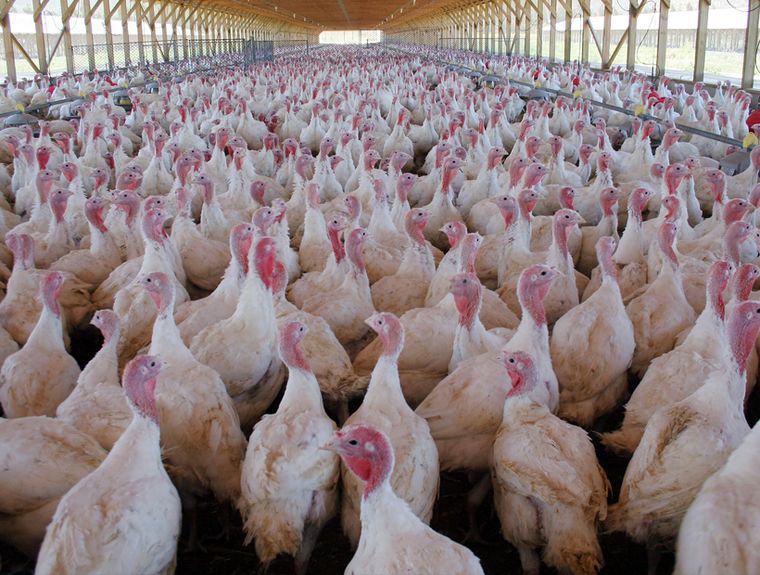 Foto: Publicada por SoyChile