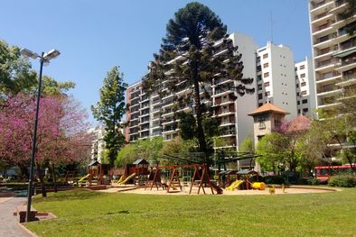 MDZol | CABALLITO