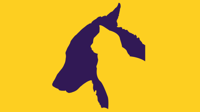 TEST DE PERSONALIDAD TEST DE PERSONALIDAD