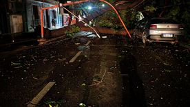 la tormenta dejo calles anegadas, arboles caidos y cortes en la ciudad de mendoza la tormenta dejo calles anegadas, arboles caidos y cortes en la ciudad de mendoza