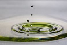 Es sorprendente que una simple gota de aceite de oliva haya revelado tanta física nueva, dice el físico mexicano Said Rodríguez.