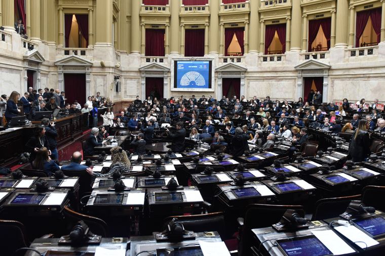 Las coimas en Discapacidad tendrán su capítulo en la discusión en Diputados.
