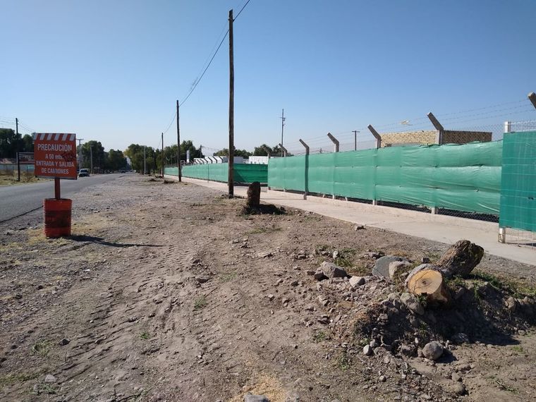 El Municipio cortó doce árboles en un predio ubicado en Doctor Pose y Champagnat de Las Heras.