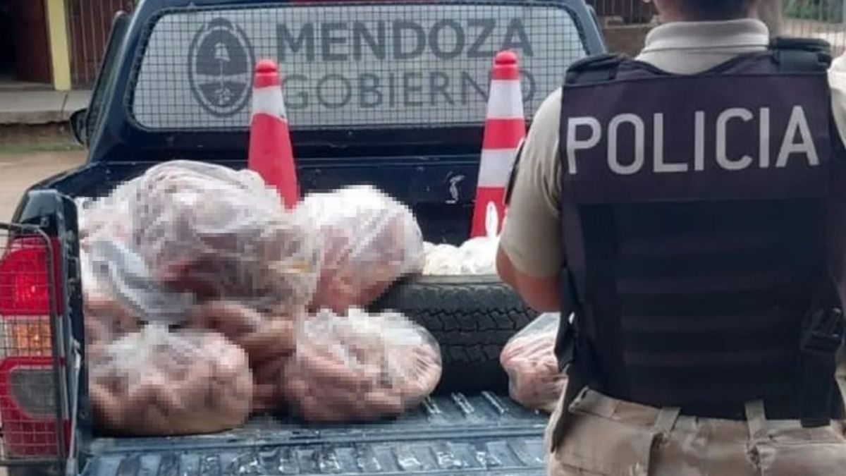 Gran decomiso de carne en mal estado en un comercio de Las Heras tras una inspección sanitaria
