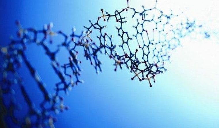 El genoma humano ya ha sido descifrado. Foto: Efe.