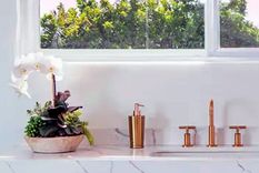 Algunas plantas frondosas y aromáticas ayudan a que un baño huela bien. Foto: Breegan Jane