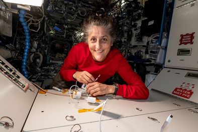 MDZol | La astronauta Suni Williams (en la foto) y su colega Butch Wilmore están varados en la Estación Espacial Internacional. Foto: BBC