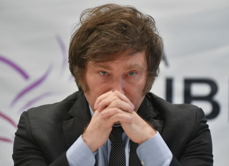 Las declaraciones de Javier Milei Foto: NA