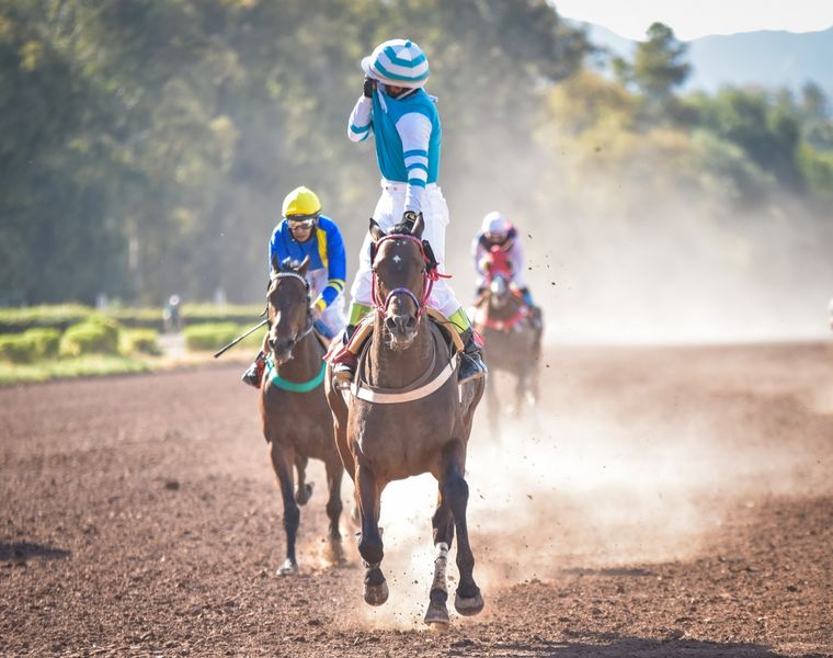 Martignac es uno de los caballos indicados del Clásico Santo Patrono Santiago. Foto: José Maluf