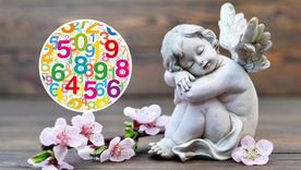 Los números de la suerte de hoy. Los números de la suerte de hoy.