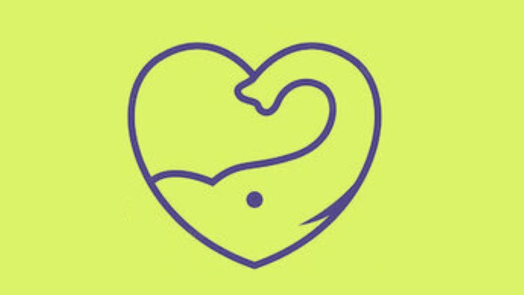 Test de personalidad