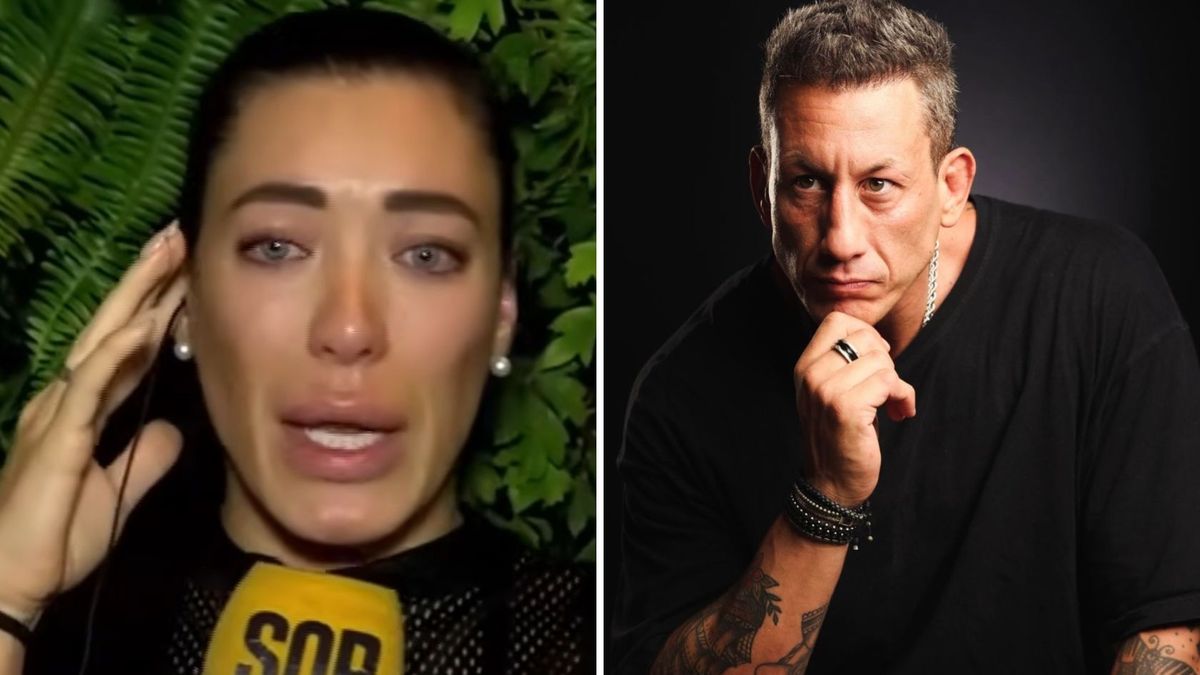 Pamela Pombo denunció a su expareja por violencia de género: el terrible video