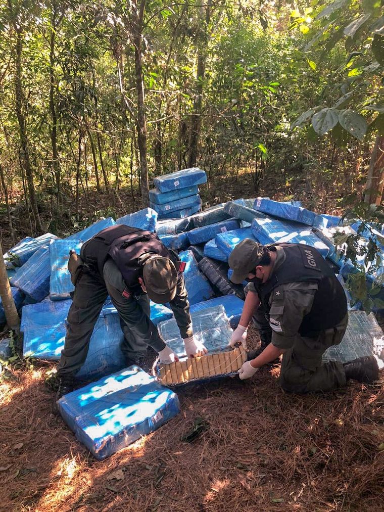 Escondida Las sustancias estaban disimuladas entre el follaje. Foto: Gendarmería Nacional.