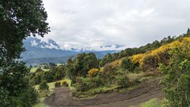 Cochamó es un pueblo del sur de Chile que funciona como puerta de entrada a uno de los valles más impactantes de la Patagonia. Cochamó es un pueblo del sur de Chile que funciona como puerta de entrada a uno de los valles más impactantes de la Patagonia.