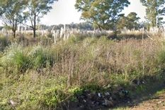 El cuerpo de la mujer fue hallado por una pareja que caminaba por la zona El cuerpo de la mujer fue hallado por una pareja que caminaba por la zona