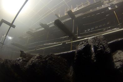 MDZol | Foto: www.maryrose.org