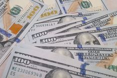 El ingreso de dólares por la soja es la base de las promesas al FMI. Foto: ALF PONCE MERCADO / MDZ