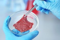 estados unidos aprobo consumo de carne cultivada en laboratorio: ¿la comeremos en el futuro? estados unidos aprobo consumo de carne cultivada en laboratorio: ¿la comeremos en el futuro?