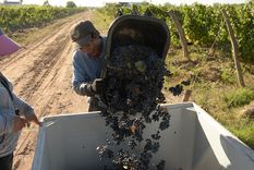 Foto: Walter Moreno/Mdz