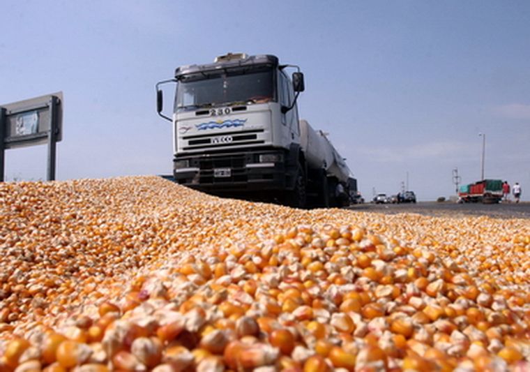 Toneladas de mercadería se tiran por su mal estado. Foto: NA